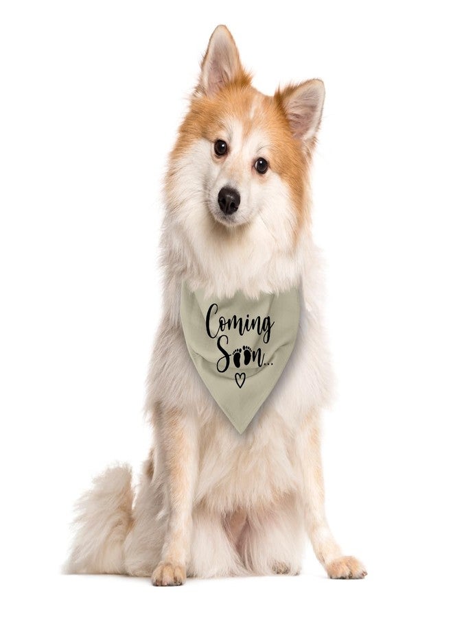 ZPPRJF Coming Soon Dog Bandana, Apricot Gray Baby Announcement Pet Triangle Scarf, Scarf Accessories, Gift for Lover, Bandana Small Medium Large Dogs (D35) - Image 2